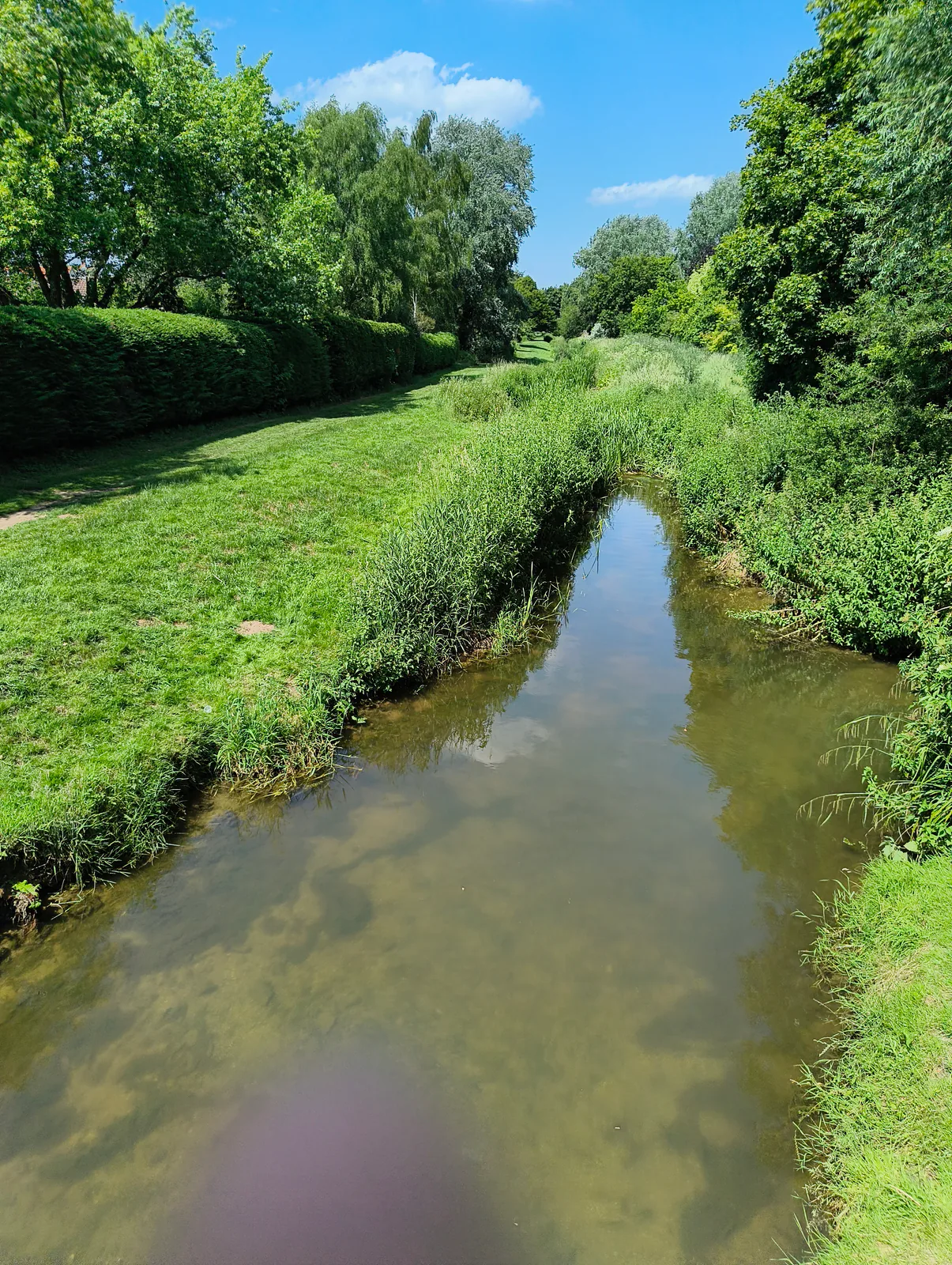 A quiet stretch of the Stour observed during the walk.