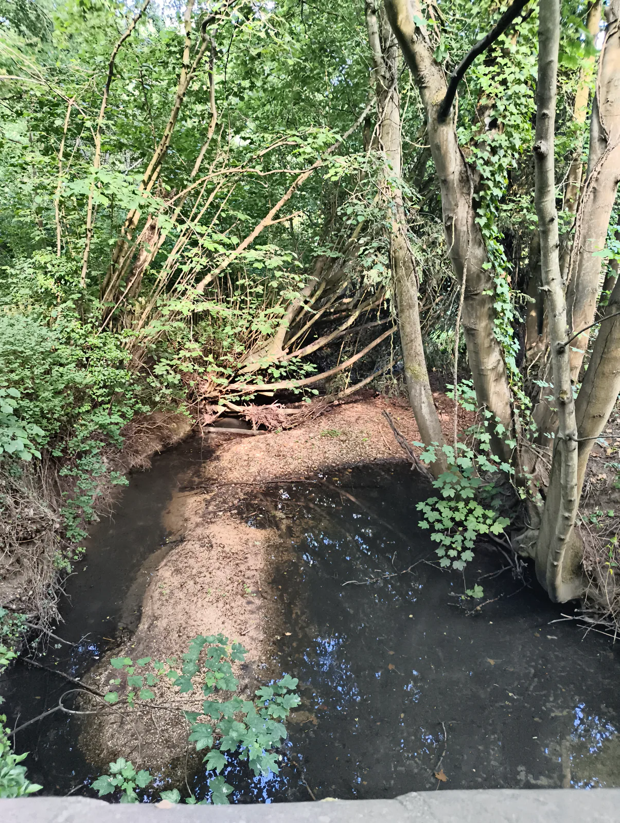 The upper Stour enclosed by trees.